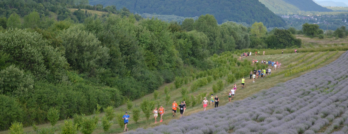 zabig-lavanda-run-2026